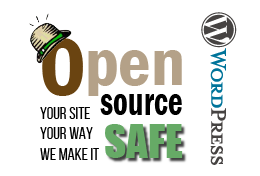Open Source SAFE